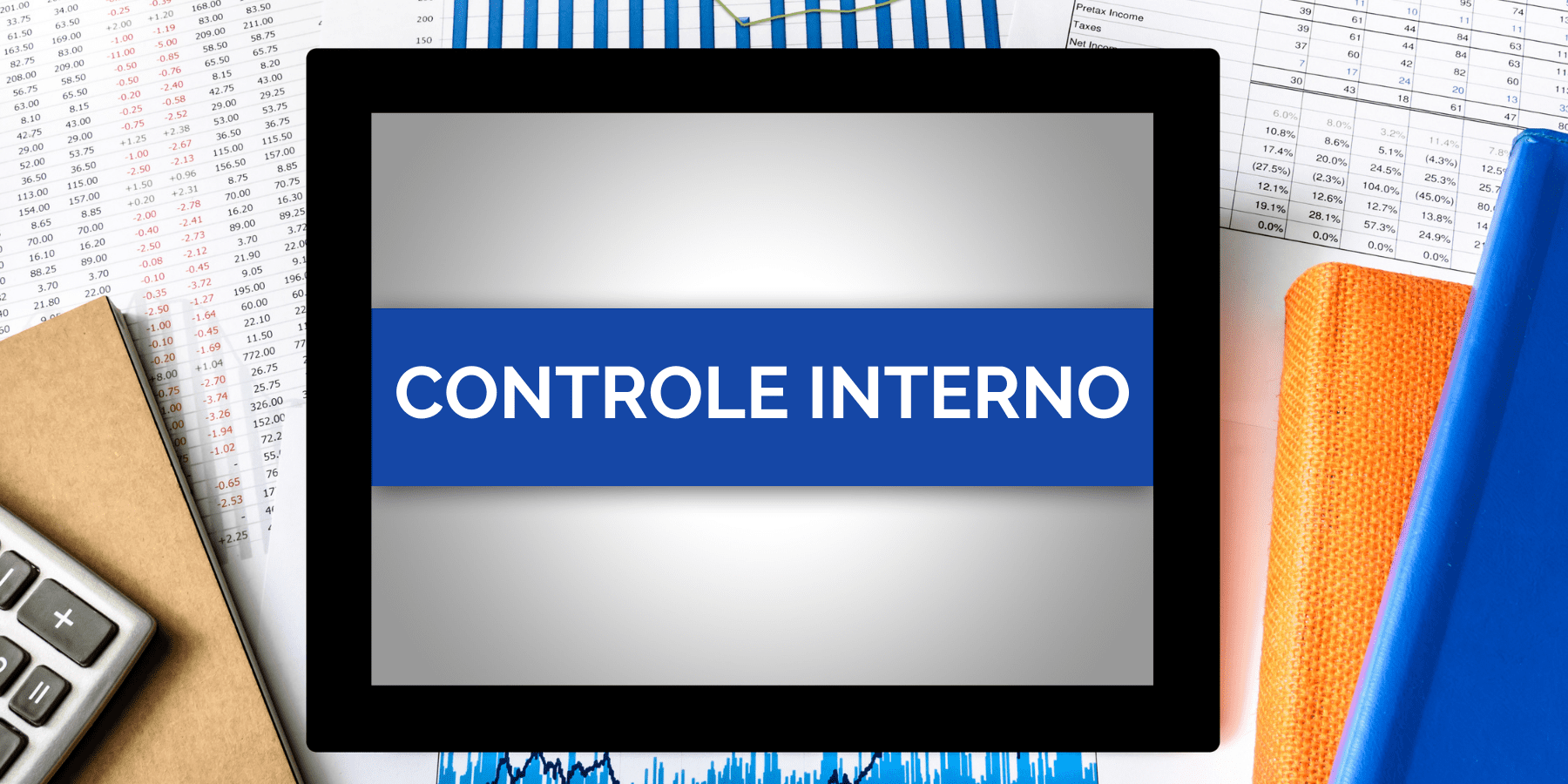 controle interno