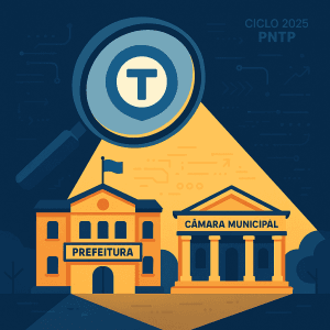 contabilidade aplicada ao setor público